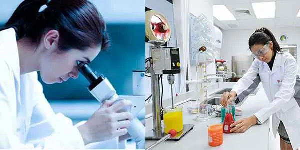 Diploma in Pharmacy